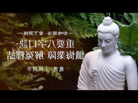 龍德 八字